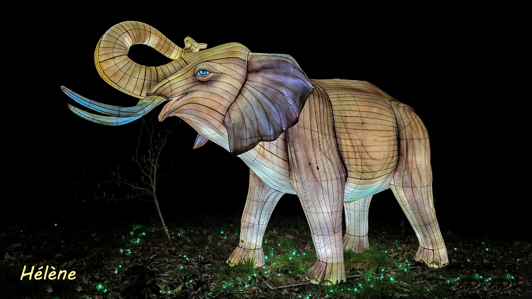 THOIRY -Illumination ,  Lumières sauvages 2025-2026